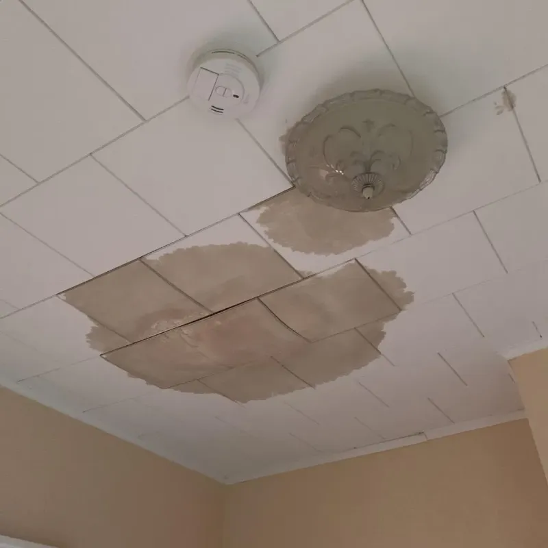 Ceiling Water Damage Repair in Menahga, MN