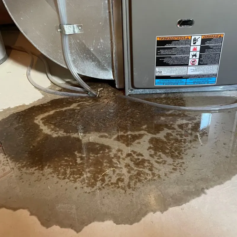 Pipe Burst and Leak Restoration in Menahga, MN